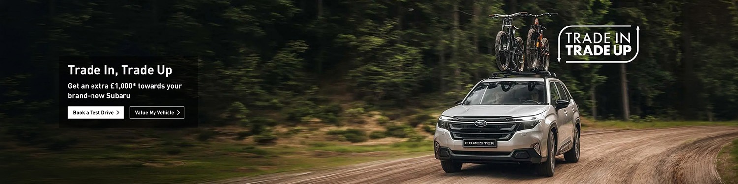 subarutradeintradeout